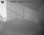 Capi_Dubne_20250904_033003.jpg