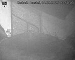 Capi_Dubne_20250904_035003.jpg