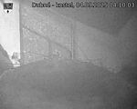 Capi_Dubne_20250904_041003.jpg