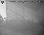 Capi_Dubne_20250904_043003.jpg