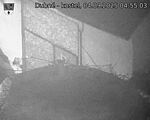 Capi_Dubne_20250904_045503.jpg