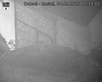 Capi_Dubne_20250904_051002.jpg