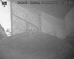 Capi_Dubne_20250904_052003.jpg