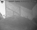 Capi_Dubne_20250904_052502.jpg