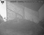 Capi_Dubne_20250904_053002.jpg