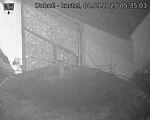 Capi_Dubne_20250904_053503.jpg