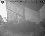 Capi_Dubne_20250904_054003.jpg