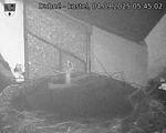Capi_Dubne_20250904_054502.jpg
