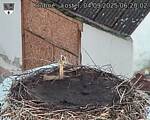 Capi_Dubne_20250904_062002.jpg