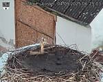 Capi_Dubne_20250904_062503.jpg