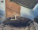 Capi_Dubne_20250904_071002.jpg