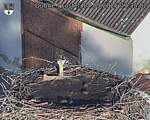 Capi_Dubne_20250904_073502.jpg