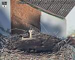 Capi_Dubne_20250904_074503.jpg