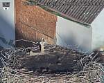 Capi_Dubne_20250904_075004.jpg