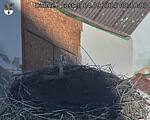 Capi_Dubne_20250904_081003.jpg