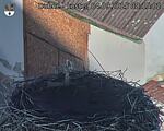 Capi_Dubne_20250904_081502.jpg