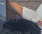 Capi_Dubne_20250904_082002.jpg