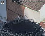 Capi_Dubne_20250904_082502.jpg