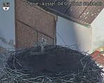 Capi_Dubne_20250904_083003.jpg