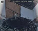 Capi_Dubne_20250904_083503.jpg