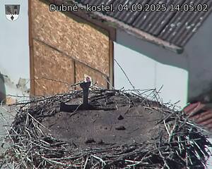 Capi_Dubne_20250904_140502.jpg (1350 x 1080)