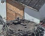 Capi_Dubne_20250904_153503.jpg