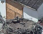 Capi_Dubne_20250904_154003.jpg