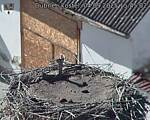Capi_Dubne_20250904_154502.jpg