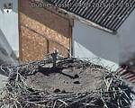 Capi_Dubne_20250904_155003.jpg