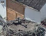 Capi_Dubne_20250904_160503.jpg