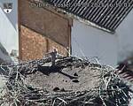 Capi_Dubne_20250904_161003.jpg