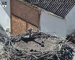 Capi_Dubne_20250904_161502.jpg