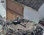 Capi_Dubne_20250904_162003.jpg