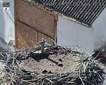 Capi_Dubne_20250904_163003.jpg