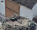 Capi_Dubne_20250904_164003.jpg
