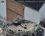Capi_Dubne_20250904_170003.jpg