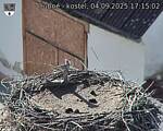 Capi_Dubne_20250904_171502.jpg