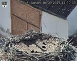 Capi_Dubne_20250904_173003.jpg
