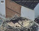 Capi_Dubne_20250904_174003.jpg
