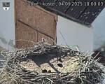Capi_Dubne_20250904_180003.jpg