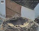 Capi_Dubne_20250904_183502.jpg