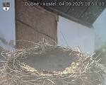 Capi_Dubne_20250904_185003.jpg
