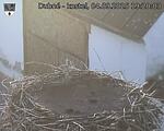 Capi_Dubne_20250904_192003.jpg