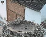 Capi_Dubne_20250904_195003.jpg