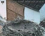 Capi_Dubne_20250904_195502.jpg