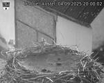 Capi_Dubne_20250904_200002.jpg
