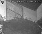 Capi_Dubne_20250904_202003.jpg