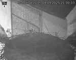 Capi_Dubne_20250904_210003.jpg