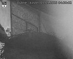 Capi_Dubne_20250905_043002.jpg