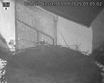 Capi_Dubne_20250905_050502.jpg